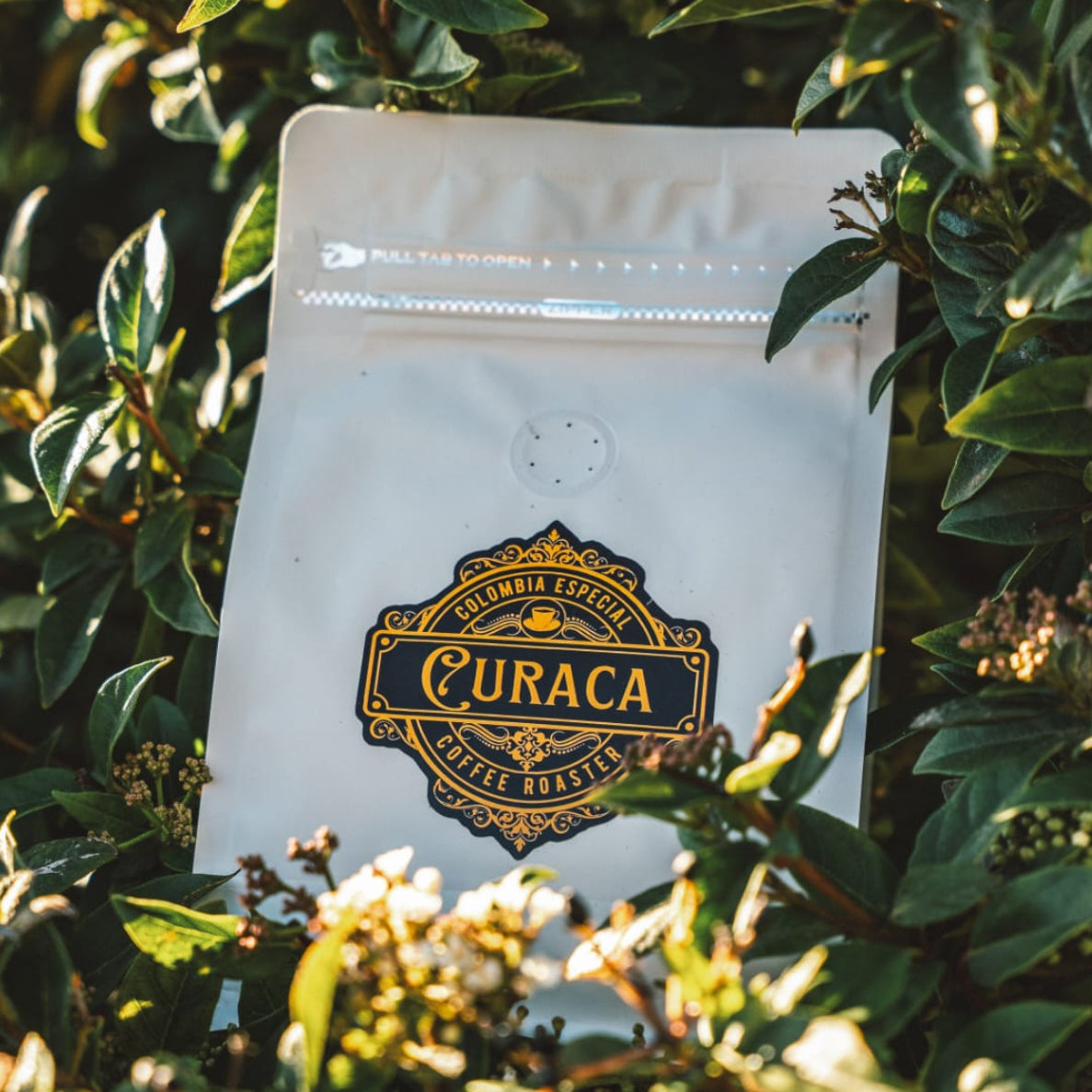 Café en Grano Curaca Especial Origen - Caja 5 Kg